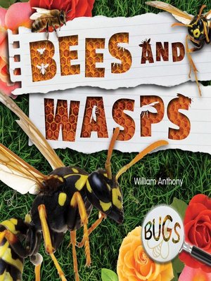 cover image of Bees and Wasps